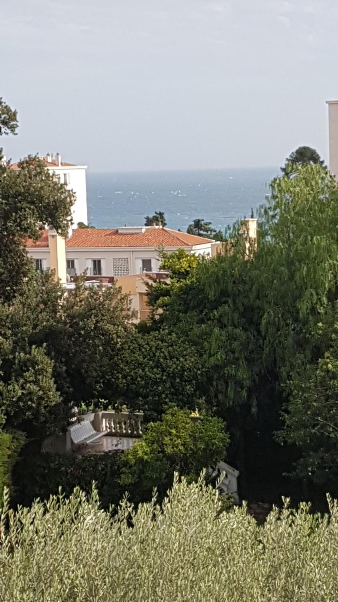Les Palmiers A 700M De La Mer Nizza Szoba fotó