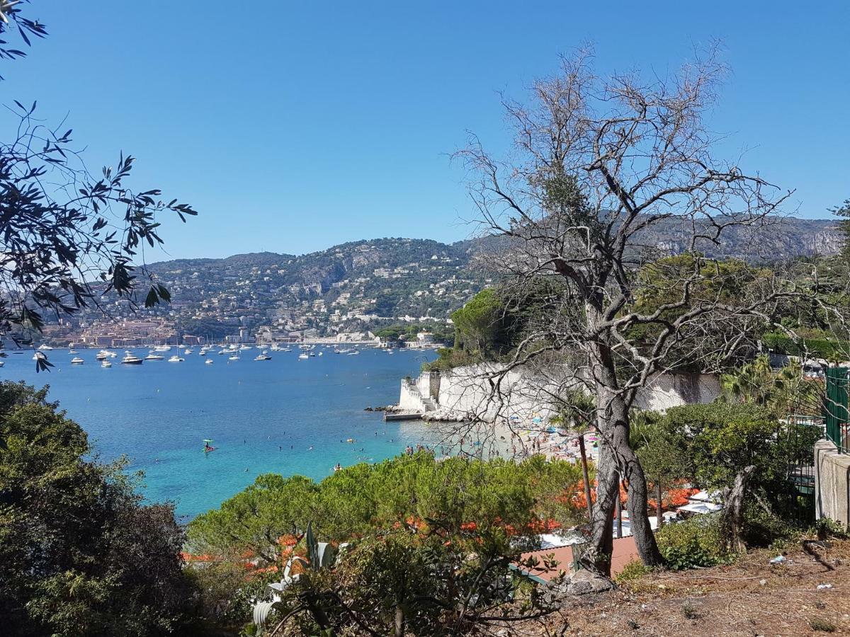 Les Palmiers A 700M De La Mer Nizza Kültér fotó